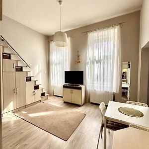 Appartement met een Slaapkamer